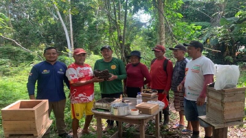 Em Urucará, Idam divulga boas práticas na meliponicultura