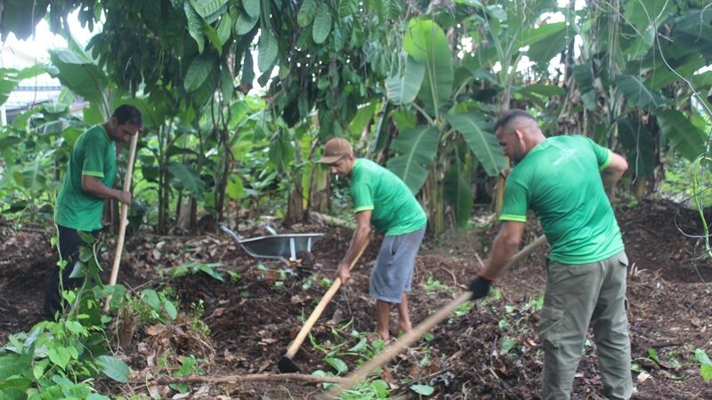 Prefeitura de Lábrea intensifica apoio ao setor primário com distribuição de mudas e assistência técnica