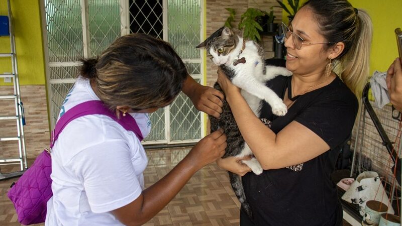 Campanha da Prefeitura de Manaus já imunizou mais de 193 mil cães e gatos contra raiva